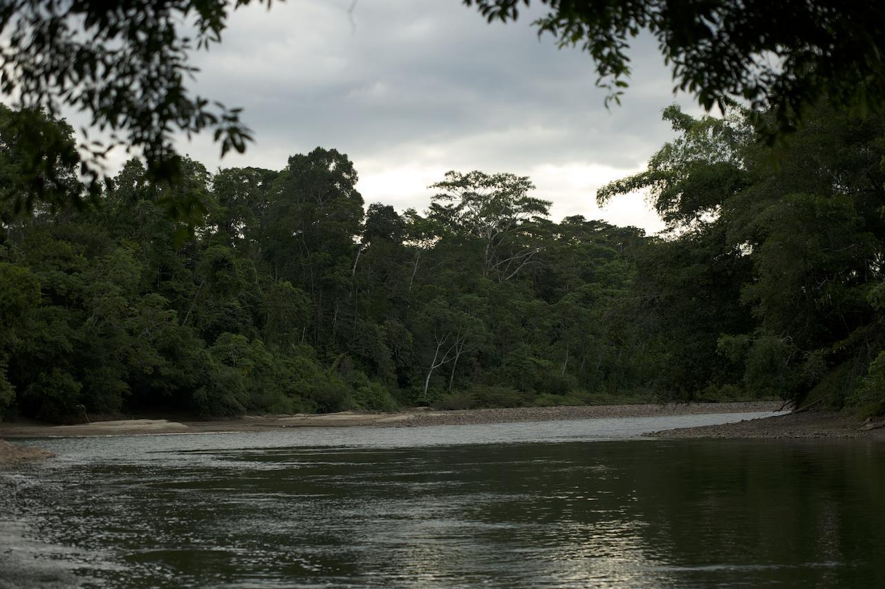 Itamandi Eco Lodge Río Arajuno エクステリア 写真