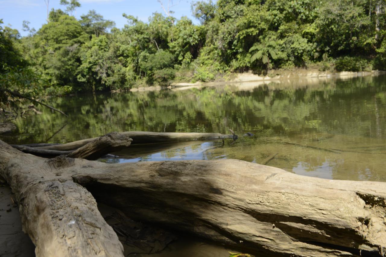 Itamandi Eco Lodge Río Arajuno エクステリア 写真